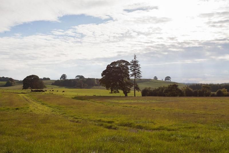 Дома для отпуска Loughcrew Lodge Oldcastle-23